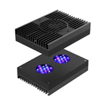 Aqua Illumination Hydra 26 HD – King Coral
