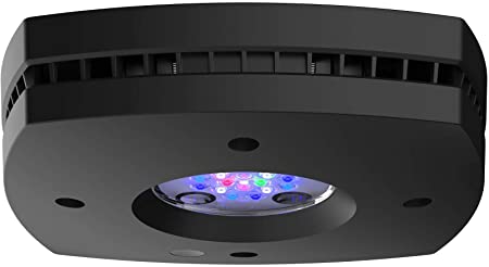 Aqua Illumination Prime 16HD Reef – King Coral