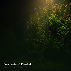 Freshwater &amp; Planted