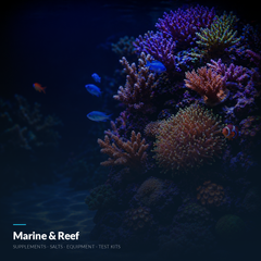 Marine &amp; Reef