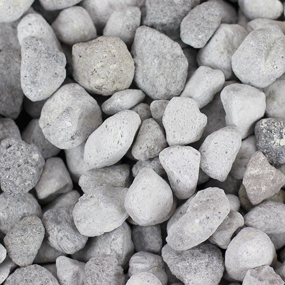 Seachem Matrix – King Coral